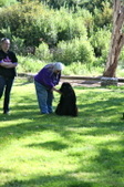 Enlarge photo 15