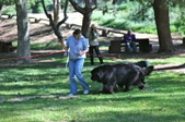 Enlarge photo 19