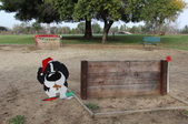 Enlarge photo 19