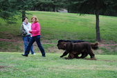 Enlarge photo 18