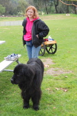 Enlarge photo 3