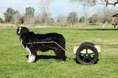 Enlarge photo 13
