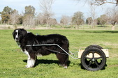 Enlarge photo 19