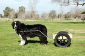 Enlarge photo 20