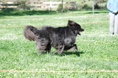 Enlarge photo 14