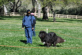 Enlarge photo 16