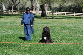 Enlarge photo 17