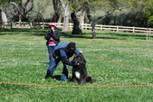 Enlarge photo 19