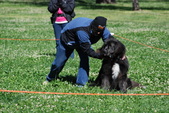 Enlarge photo 20