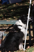 Bill's Pictures