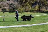 Brody, Soleil & Kathy