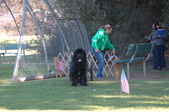 Enlarge photo 16