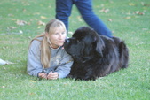Enlarge photo 17