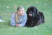 Enlarge photo 19