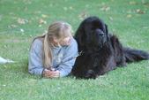 Enlarge photo 22