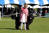 Enlarge photo 17