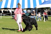 Enlarge photo 22