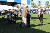 Enlarge photo 11