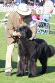 Enlarge photo 20