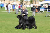 Enlarge photo 21