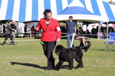 Enlarge photo 24