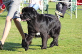 Enlarge photo 19