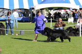 Enlarge photo 21