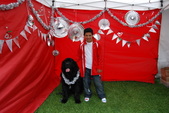 Enlarge photo 9