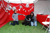 Enlarge photo 19