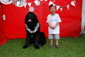 Enlarge photo 20