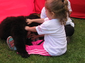 Enlarge photo 21