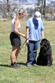 Enlarge photo 2