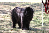 Enlarge photo 22