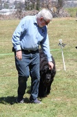 Enlarge photo 4