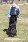 Enlarge photo 10