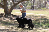 Enlarge photo 20