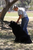 Enlarge photo 21