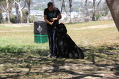 Enlarge photo 17