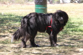 Enlarge photo 16