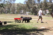 Enlarge photo 20