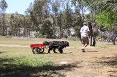 Enlarge photo 21