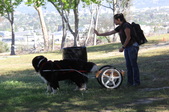 Enlarge photo 5
