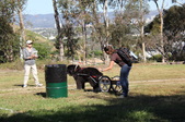 Enlarge photo 9