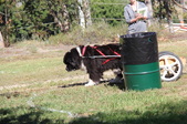 Enlarge photo 11