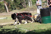 Enlarge photo 14
