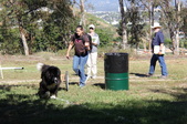Enlarge photo 20