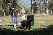 Enlarge photo 24