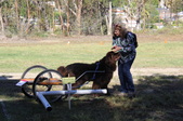 Enlarge photo 8