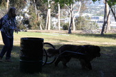 Enlarge photo 14