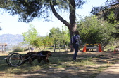 Enlarge photo 16